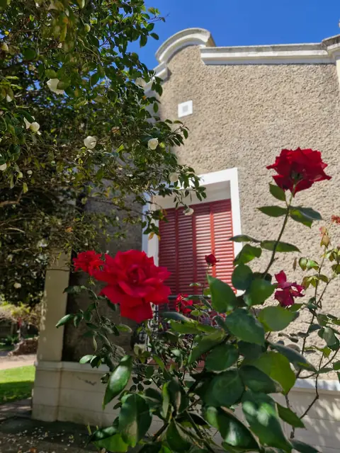 Rosas rojas frente a la fachada con postigos rojos