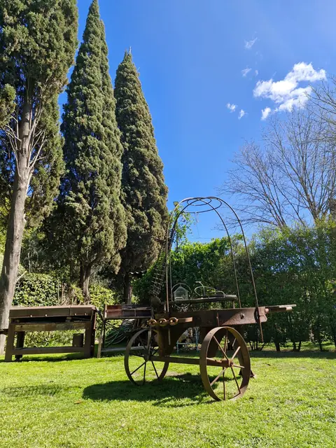 Jardín con carreta antigua y cipreses
